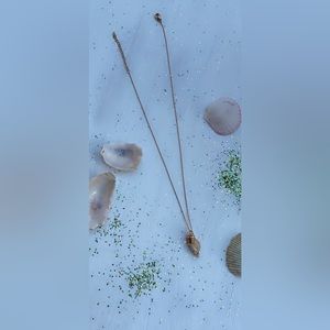 14k gold shell necklace/choker